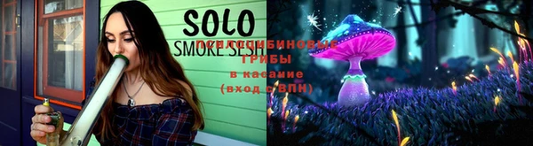 шишки Богородицк