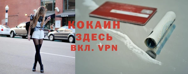 mix Бородино