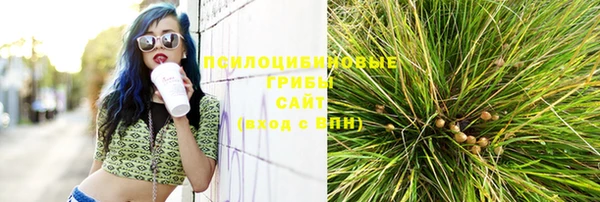 mix Бородино