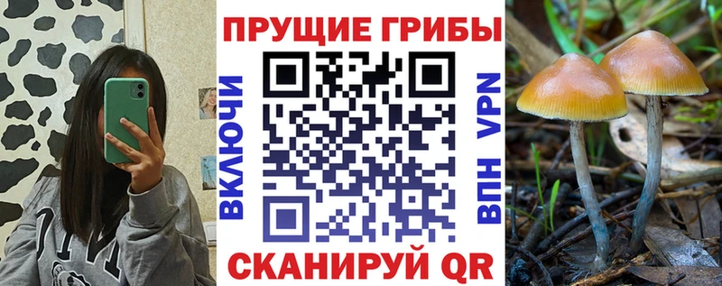 Галлюциногенные грибы ЛСД  Комсомольск 
